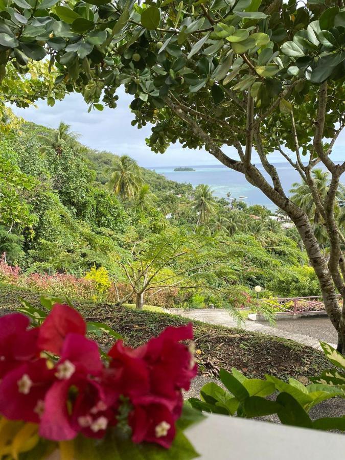 Bora Bora Holiday'S Lodge ภายนอก รูปภาพ